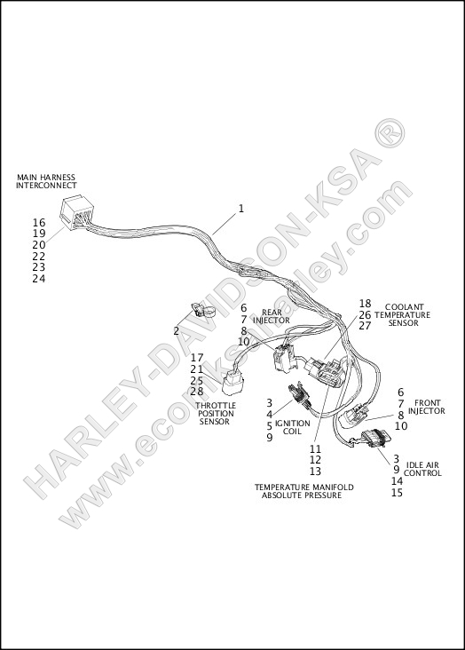 WIRING HARNESS, ENGINE